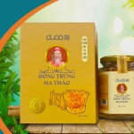 Nấm đông trùng hạ thảo duca sấy khô thăng hoa 10g